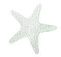 Starfish illustration